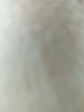 Emily Wane online show from March 21, 2026, 8:34 pm