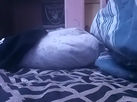 Snapshot of Blkstylion chatting on February 5, 2026, 7:07 pm Blkstylion online show from February 5, 2026, 7:07 pm