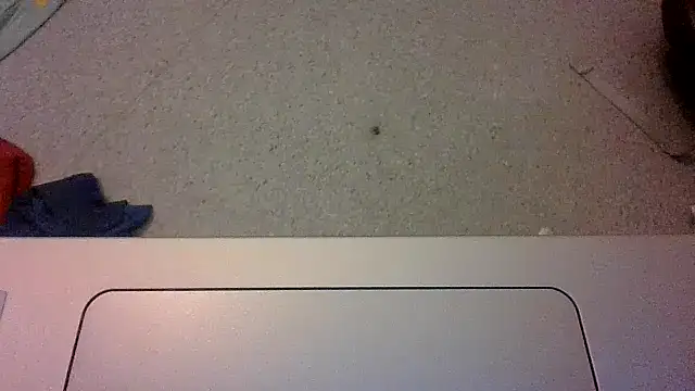 Machoviking1 online show from October 13, 2025, 6:46 am