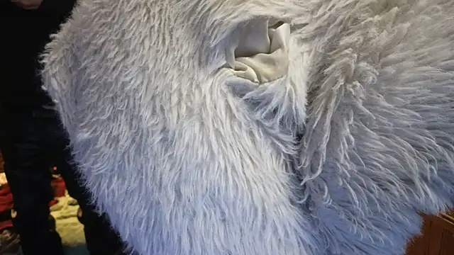 PropertyAndBiker online show from February 14, 2025, 2:07 am