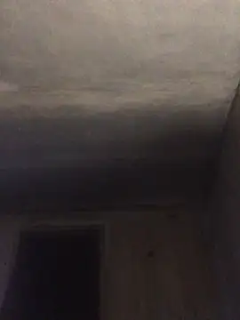 ChantalXOrchid online show from April 15, 2026, 12:06 am