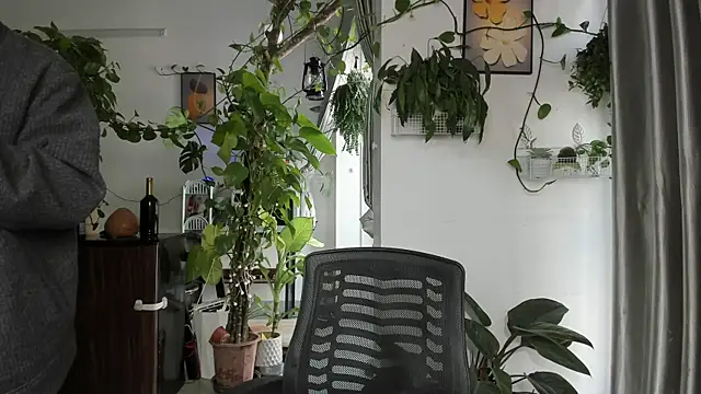 Oliver Nl online show from January 8, 2026, 4:15 am