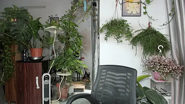 Oliver Nl online show from March 27, 2026, 3:45 am