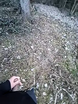 Picknick84 online show from March 21, 2025, 5:23 pm