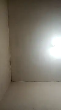 Snapshot of fieltoprj1 chatting on January 5, 2025, 8:11 am fieltoprj1 online show from January 5, 2025, 8:11 am