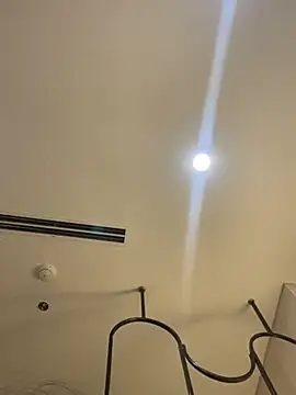 MEOW MEO online show from March 22, 2025, 4:04 pm