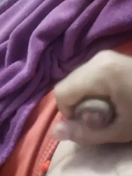 Snapshot of dredre1069 chatting on February 2, 2026, 3:05 am dredre1069 online show from February 2, 2026, 3:05 am