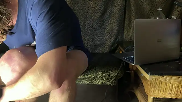 Dogz n daugthers online show from March 31, 2026, 10:04 am