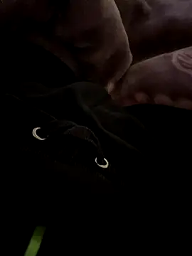 balamuc97 online show from December 4, 2025, 11:52 am