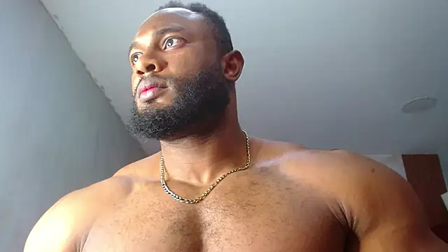 George Dominator online show from November 6, 2025, 1:50 am