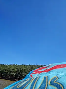 Snapshot of Dixiefaye_Pika chatting on March 18, 2025, 8:15 pm Dixiefaye Pika online show from March 18, 2025, 8:15 pm