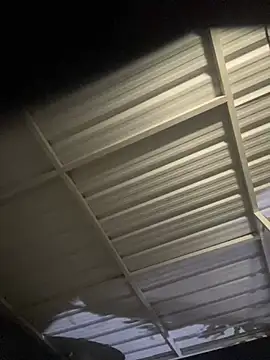 ScarlettAndClark online show from January 15, 2025, 1:23 am