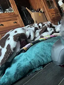 SexyB214 online show from March 7, 2025, 12:15 am