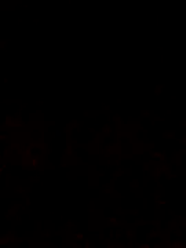 Adee21e online show from October 12, 2025, 6:51 pm