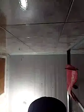 Adee21e online show from November 17, 2025, 8:47 pm