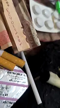 Snapshot of trans511 chatting on April 11, 2026, 8:57 pm trans511 online show from April 11, 2026, 8:57 pm