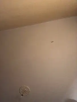 Snapshot of ClatteryPrexy chatting on December 16, 2024, 4:27 pm ClatteryPrexy online show from December 16, 2024, 4:27 pm