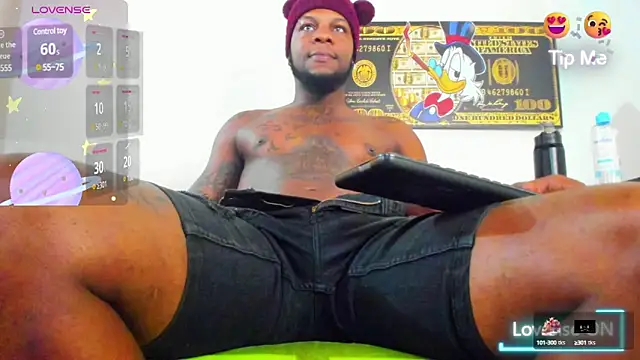 wotton 17 online show from March 21, 2025, 7:35 pm