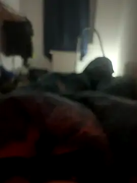 Snapshot of habbockwiesau chatting on November 24, 2025, 10:09 pm habbockwiesau online show from November 24, 2025, 10:09 pm