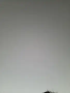 high andlow420 online show from March 8, 2025, 12:41 pm