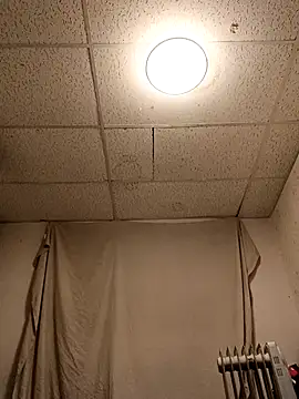 Armyexhibitionistvet online show from April 4, 2026, 7:17 am