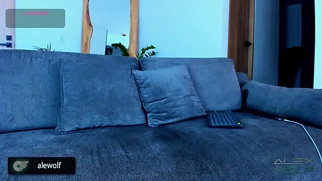 alex wolf  online show from November 28, 2025, 2:42 pm