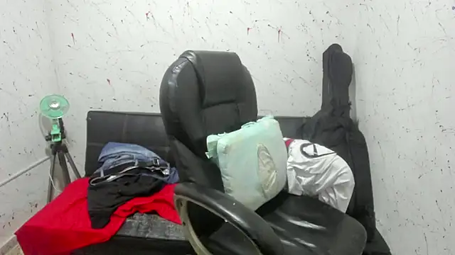  ace ventura online show from April 15, 2026, 12:28 am