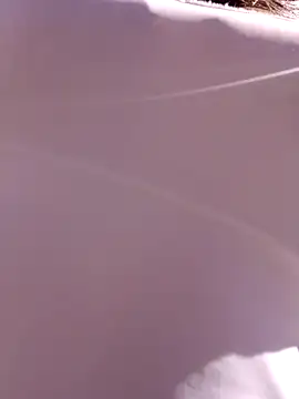 Violeta 12- online show from January 22, 2025, 2:35 pm