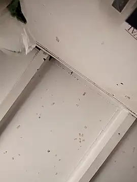 Giselabrunette25 online show from December 15, 2025, 2:43 pm