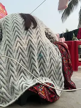 Ishikarana online show from January 6, 2026, 9:24 am