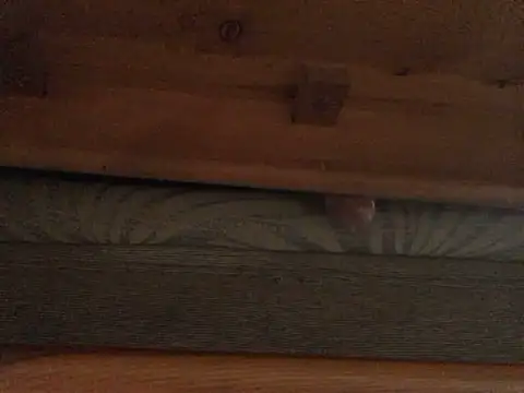 Snapshot of Dicksexhandjob chatting on February 21, 2025, 1:33 pm Dicksexhandjob online show from February 21, 2025, 1:33 pm