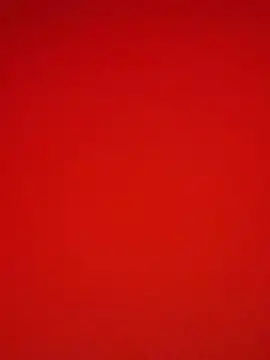 Melissa crazy online show from December 9, 2024, 3:22 pm