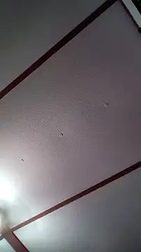 xDestineeXX online show from December 30, 2024, 2:31 am