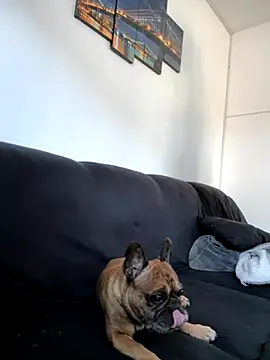 Bastilein1985 online show from October 30, 2025, 9:11 am