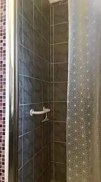 pachapeter online show from February 22, 2025, 3:25 pm