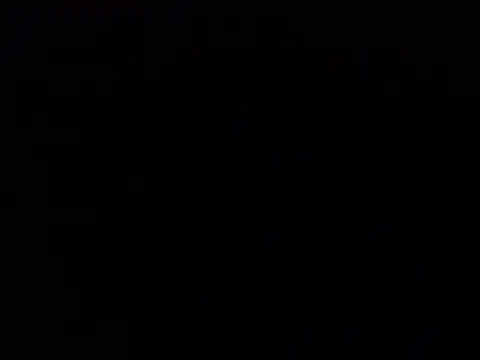 LiDonnaa online show from January 13, 2025, 3:47 pm