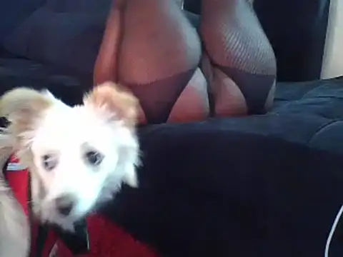 KikiLovesD online show from December 23, 2024, 2:07 pm