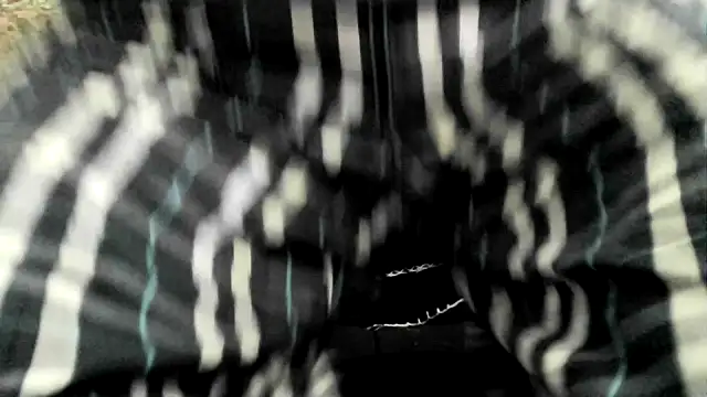 ewuich1 online show from March 6, 2025, 11:03 am