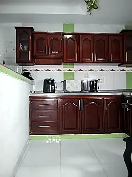 Snapshot of ARTHUR_MINI chatting on February 5, 2025, 10:08 am ARTHUR MINI online show from February 5, 2025, 10:08 am