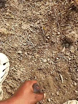 Snapshot of Ajith_mvi chatting on February 18, 2026, 3:35 am Ajith mvi online show from February 18, 2026, 3:35 am