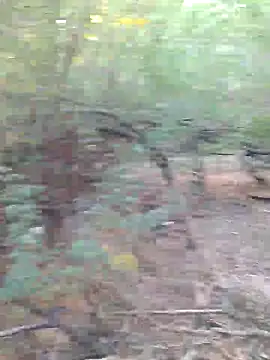 Snapshot of Ajith_mvi chatting on March 29, 2026, 2:44 am Ajith mvi online show from March 29, 2026, 2:44 am