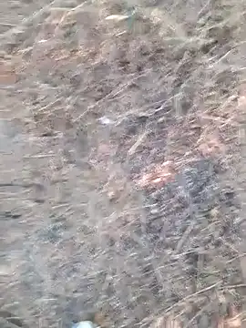 Snapshot of Ajith_mvi chatting on April 6, 2026, 12:06 pm Ajith mvi online show from April 6, 2026, 12:06 pm