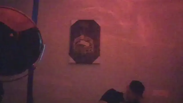 hailzeffn online show from May 26, 2026, 8:10 am