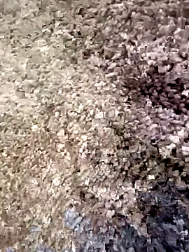 christian0009 online show from December 18, 2025, 4:46 pm