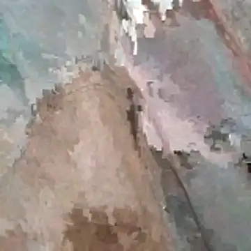 jockey2051992 online show from March 7, 2026, 3:25 am