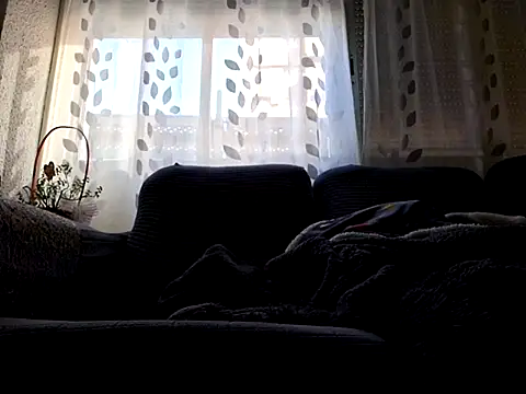 Javier bear online show from February 26, 2025, 2:46 pm