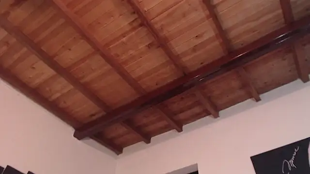 seleneh online show from March 10, 2025, 9:40 pm