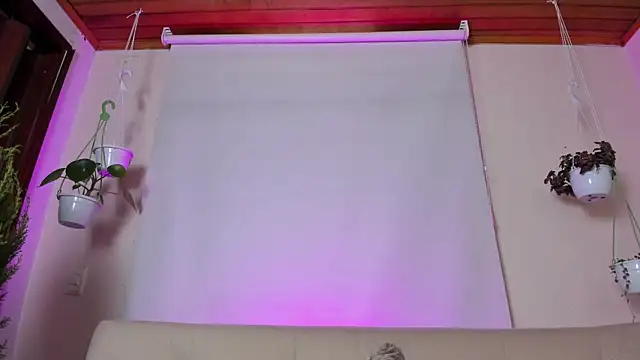 roselinedior online show from January 27, 2025, 4:11 pm