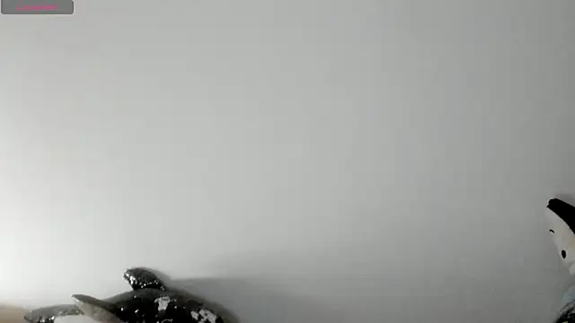 queen fetish online show from January 8, 2026, 2:30 pm