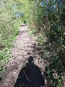 FreezingTie850 online show from April 24, 2026, 9:45 am